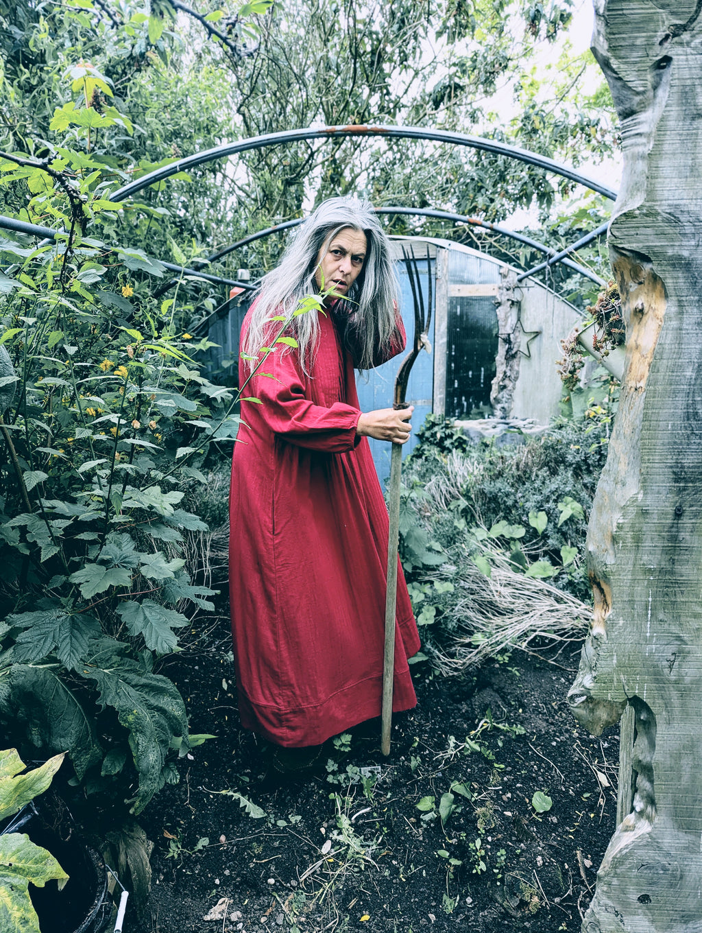 the mary pintuck dress
