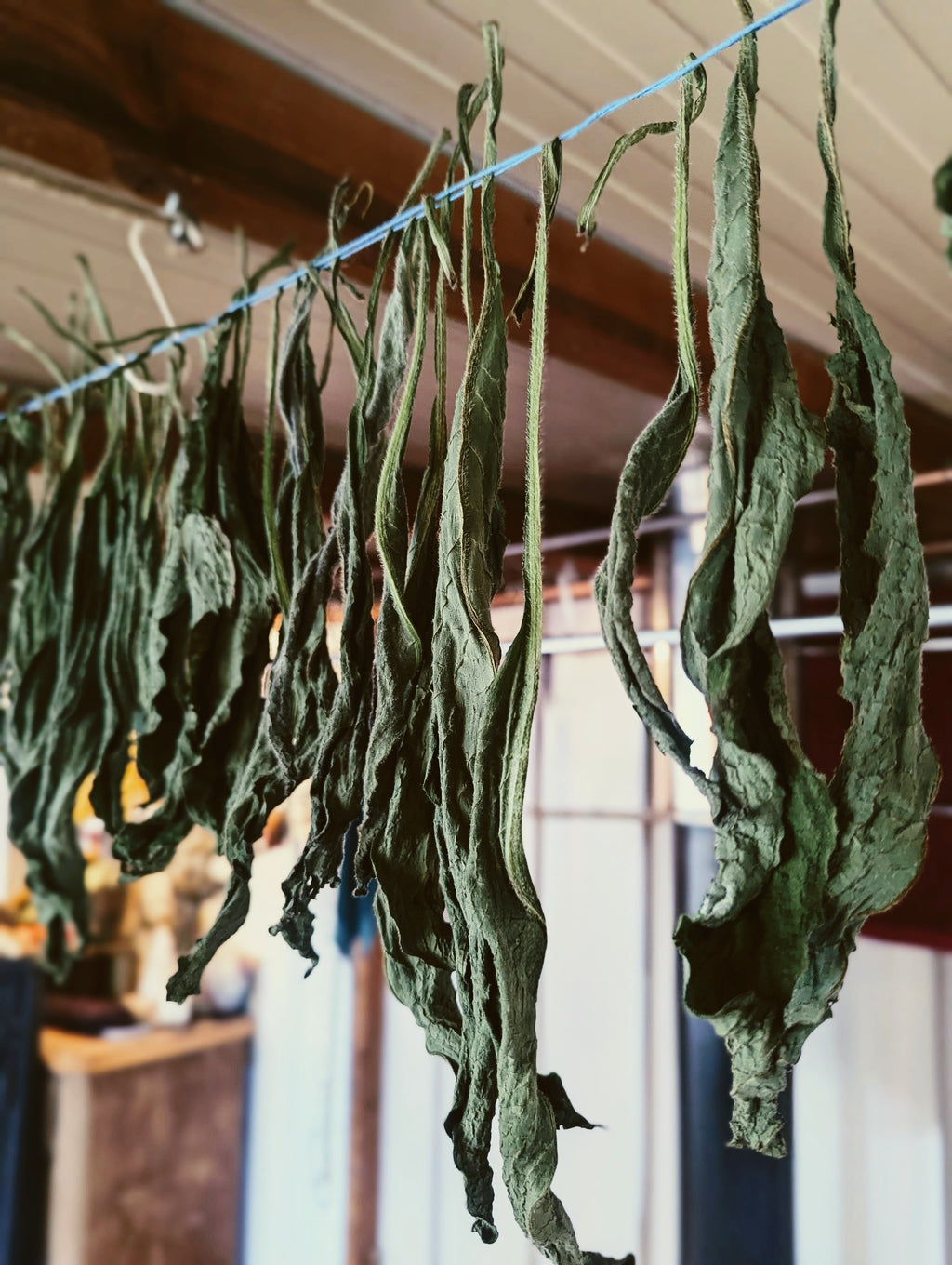 knitbone comfrey balm