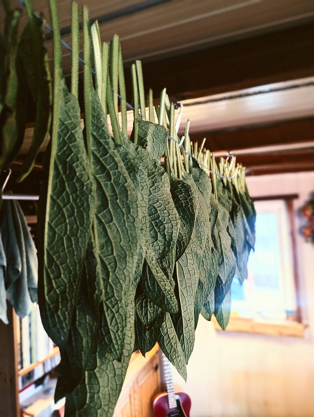knitbone comfrey balm