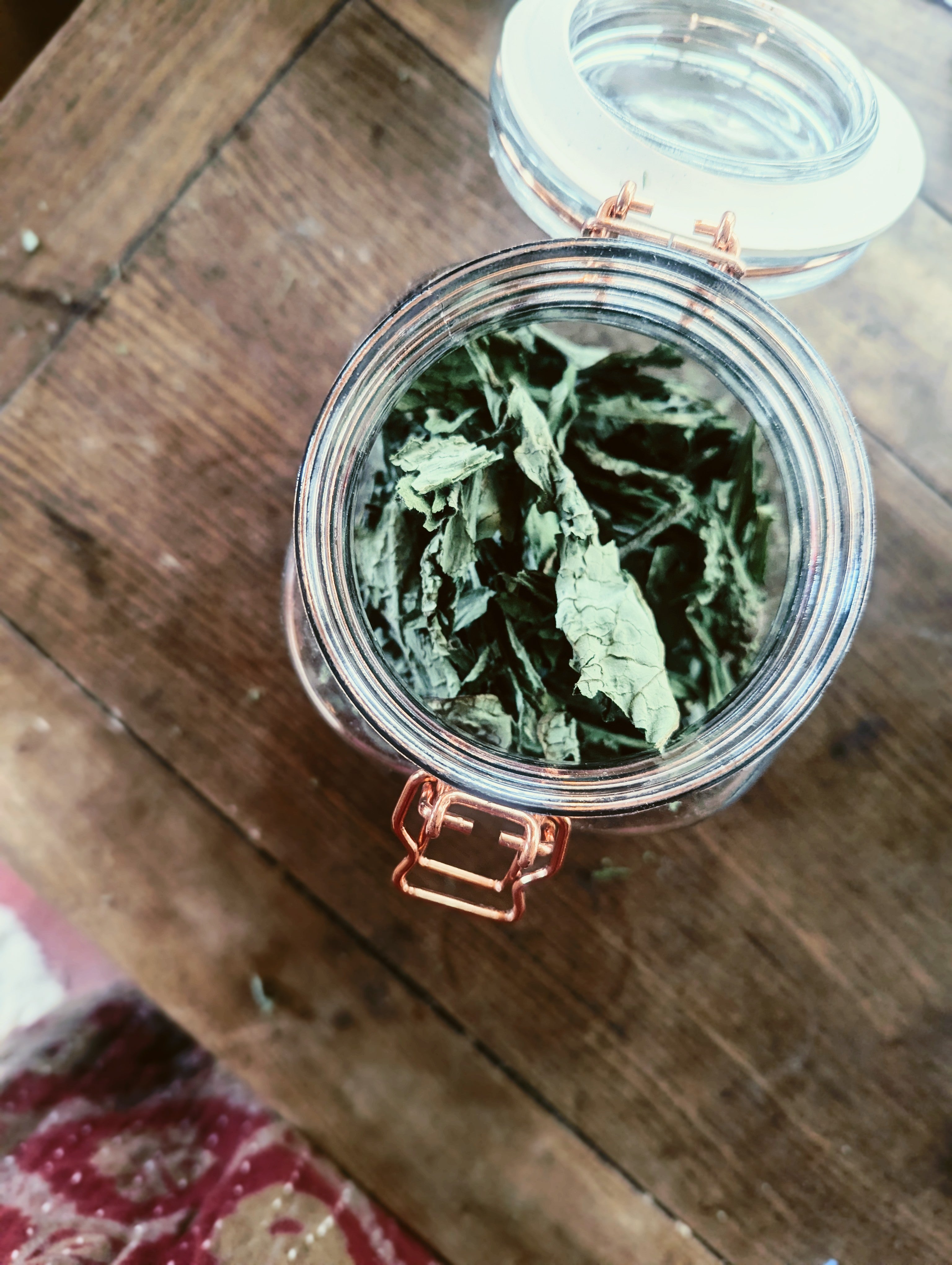 knitbone comfrey balm
