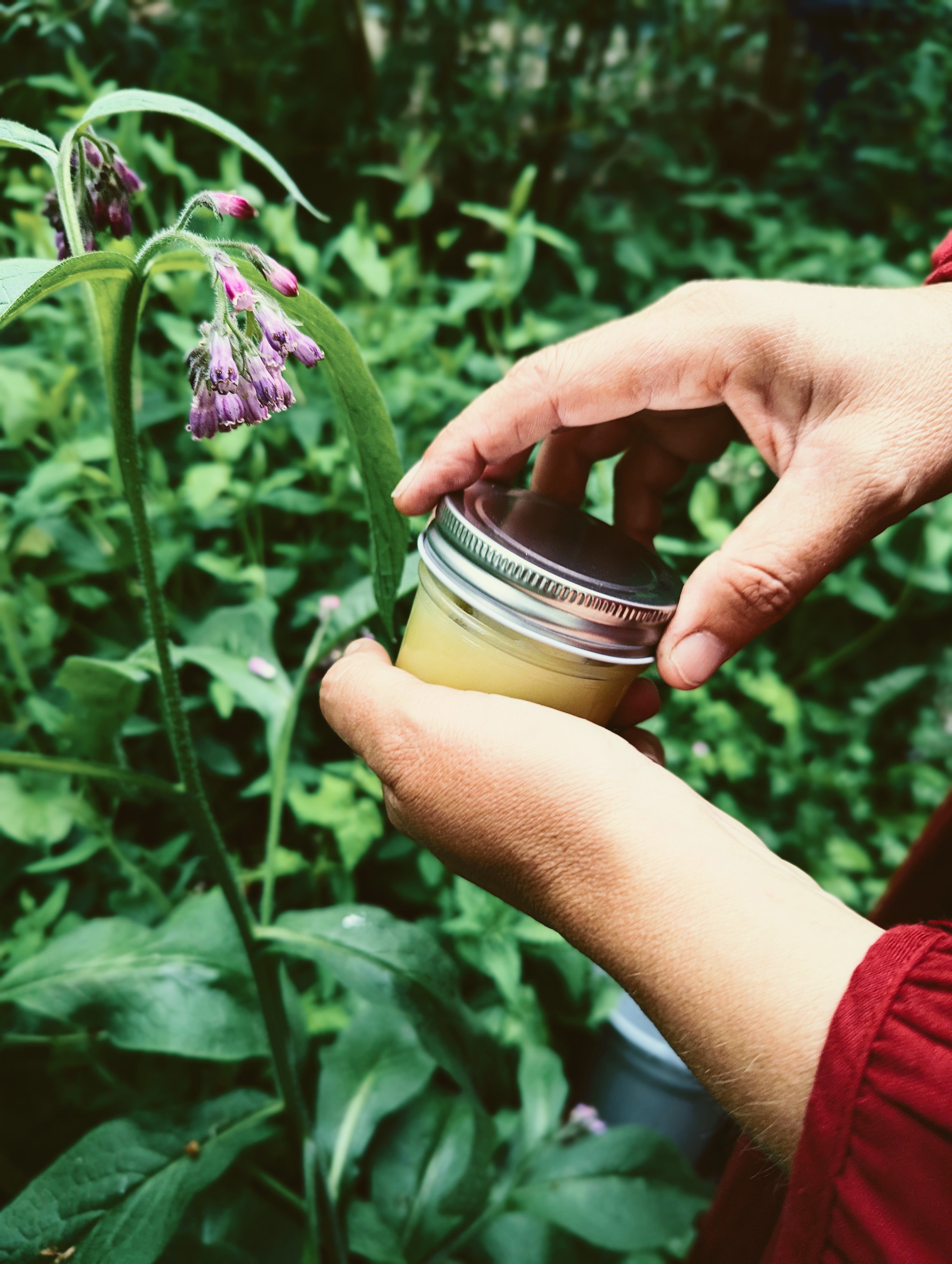 knitbone comfrey balm